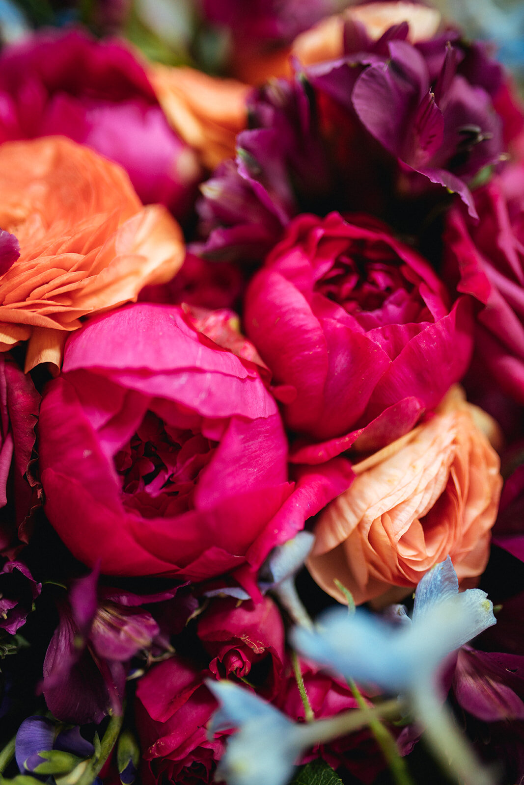 Bouquet of red and orange flowers in Alexandria VA Shawnee Custalow Queer Wedding Photographer