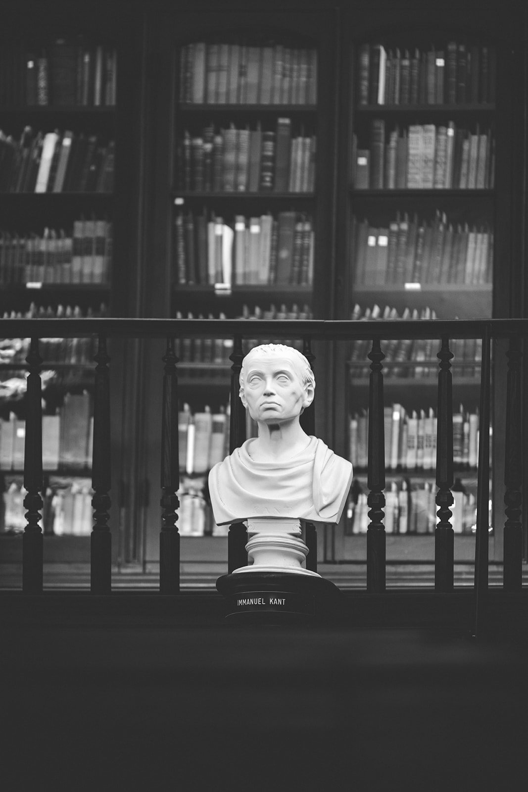 Bust statue in the library at German Society of PA Shawnee Custalow LGBTQ wedding Photography