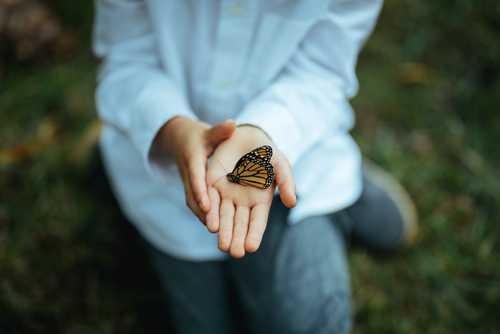 Child with a butterfly at VA farm wedding Shawnee Custalow photography