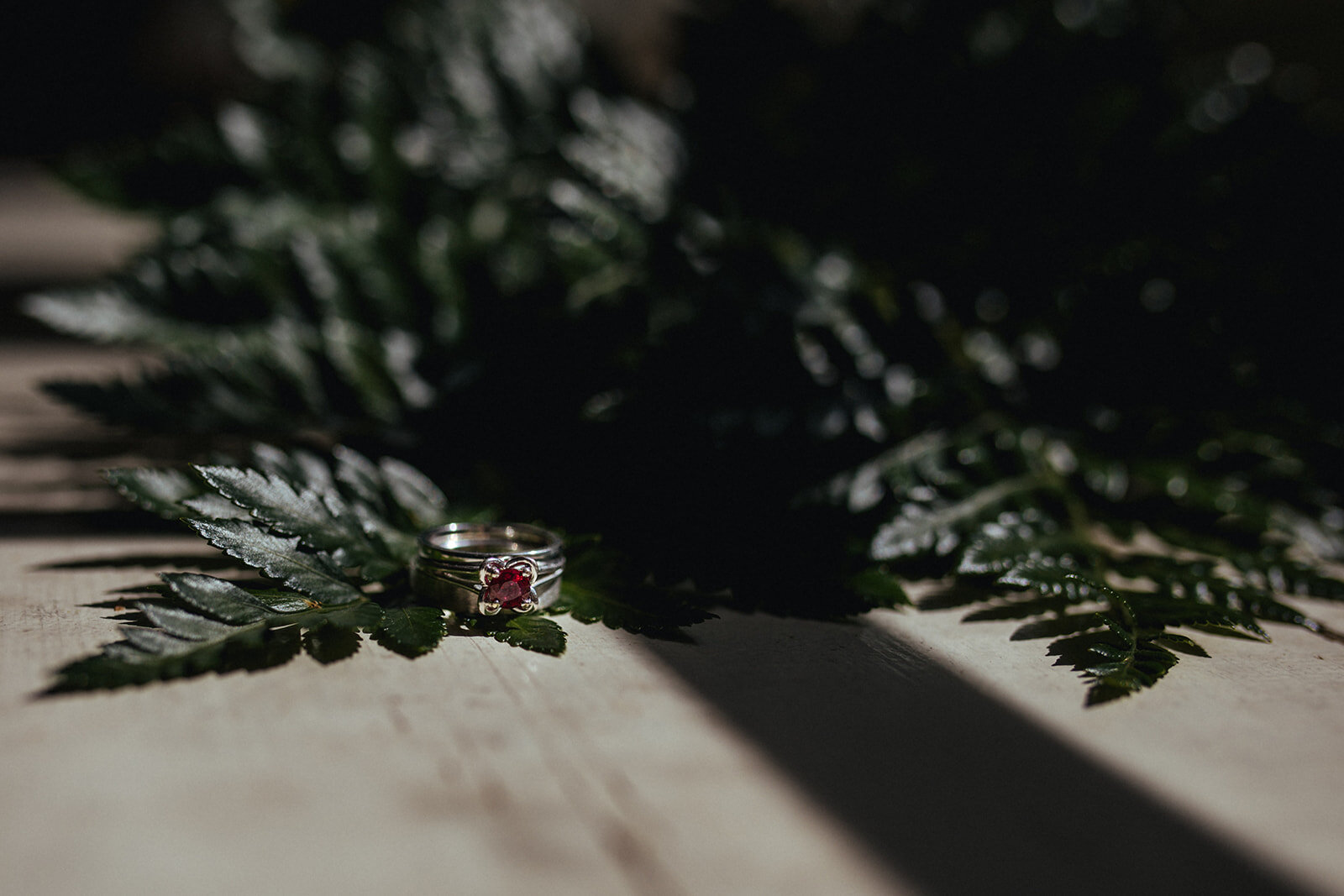 Weddings rings with a fern in Cape Cod MA Shawnee Custalow photography