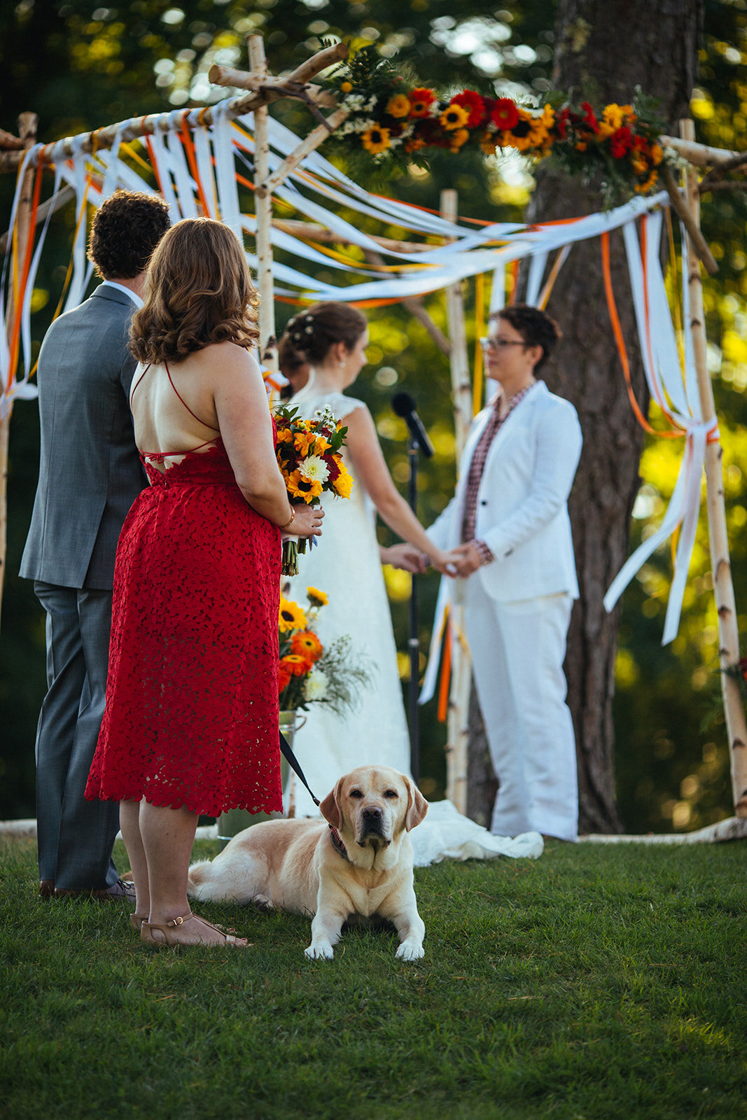 Honor attendant with dog at Cape Cod wedding Shawnee Custalow photo