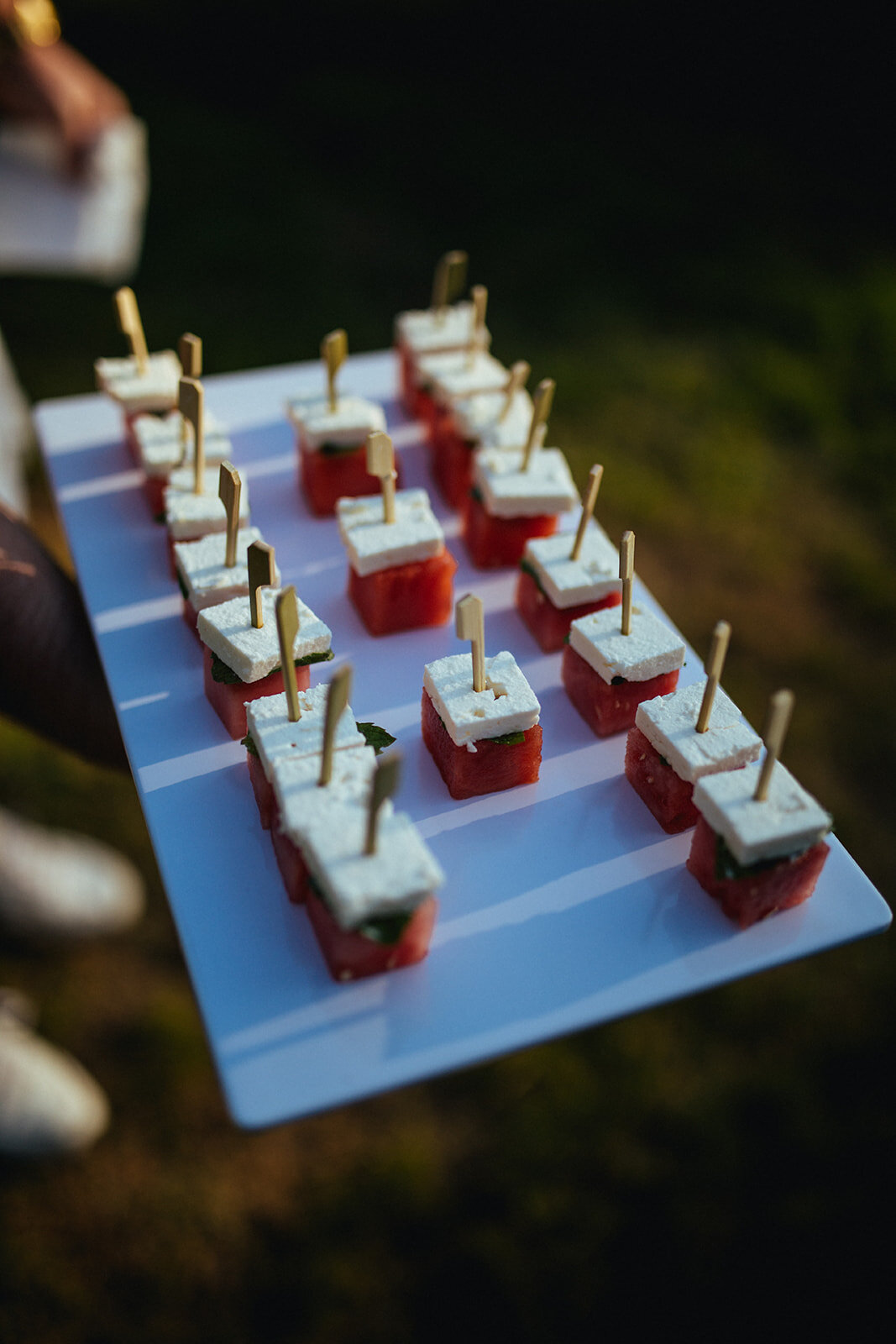 Appetizers in Cape Cod Shawnee Custalow queer wedding photographer