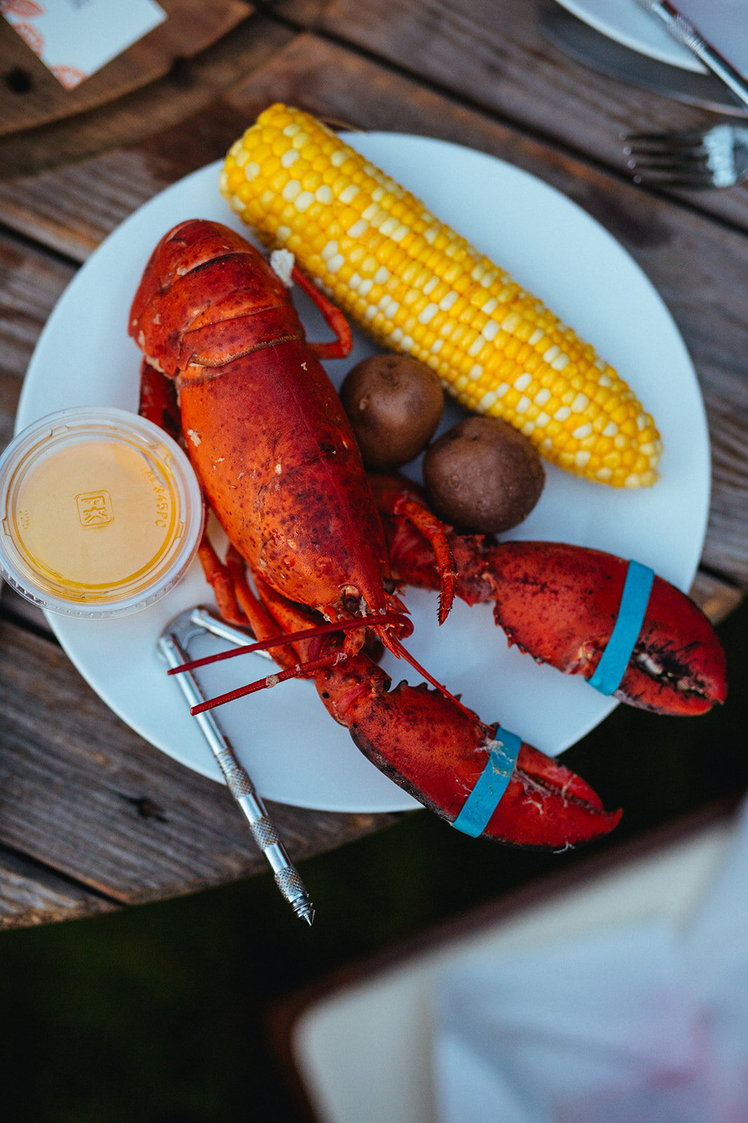 Lobster dinner at Cape Cod reception Shawnee Custalow photography