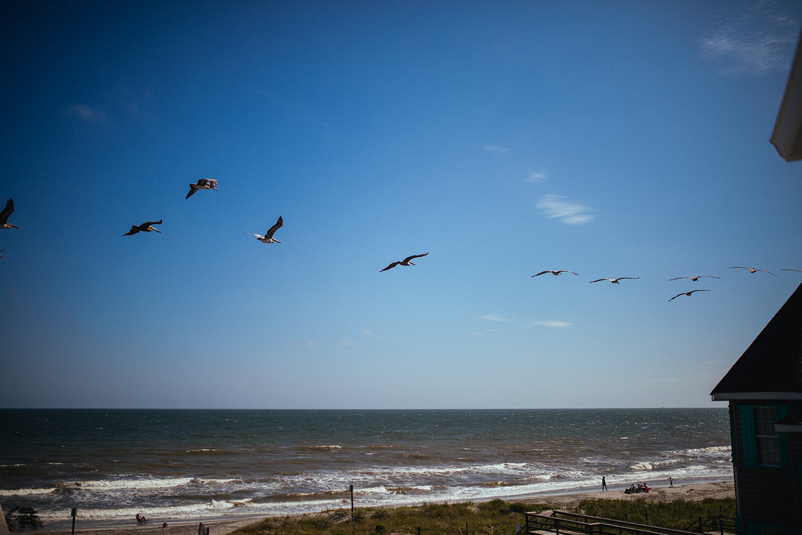 Birds flying over Folly Beach SC Shawnee Custalow wedding photographer