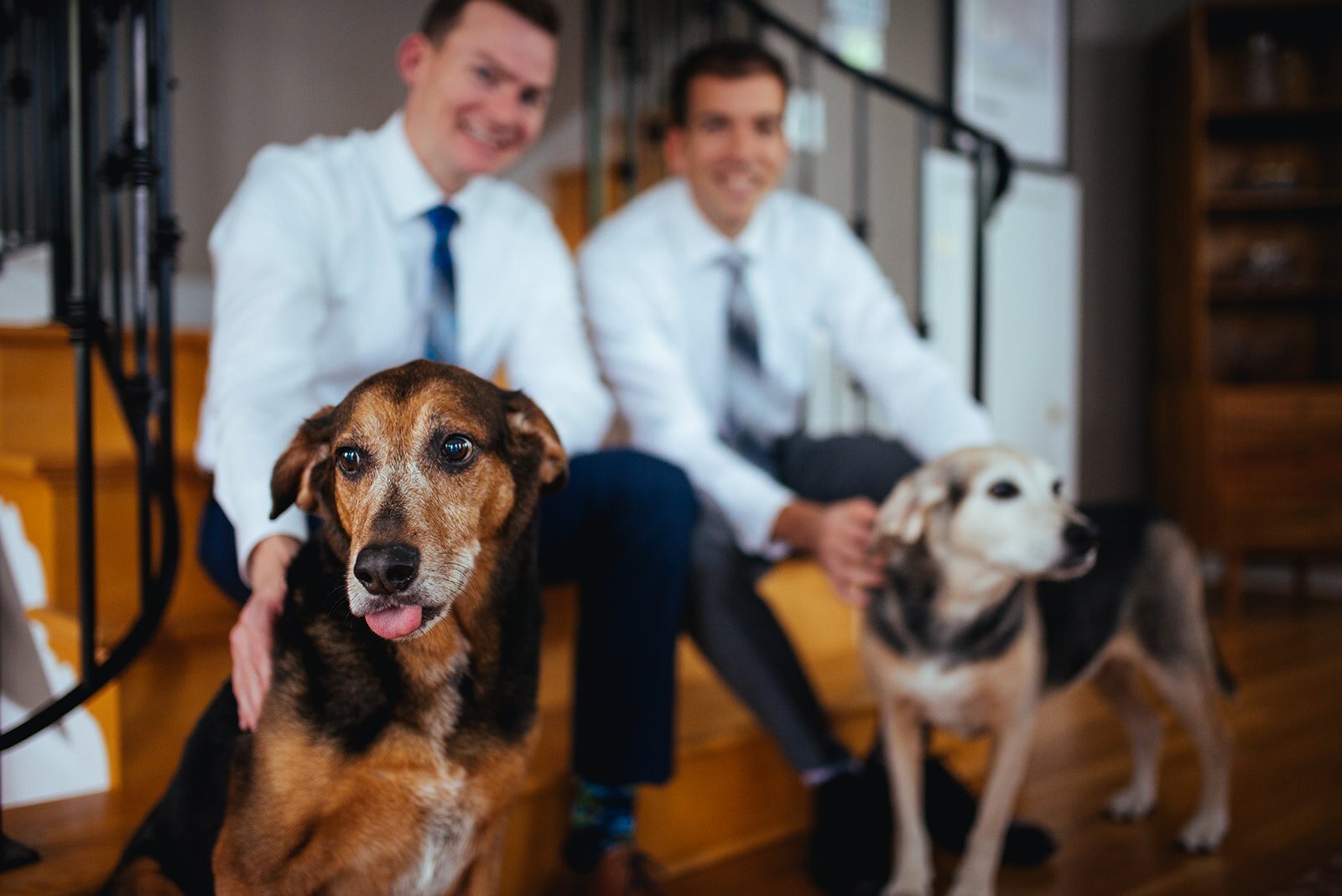 Future spouses with two pet dogs in Richmond VA home Shawnee Custalow photography