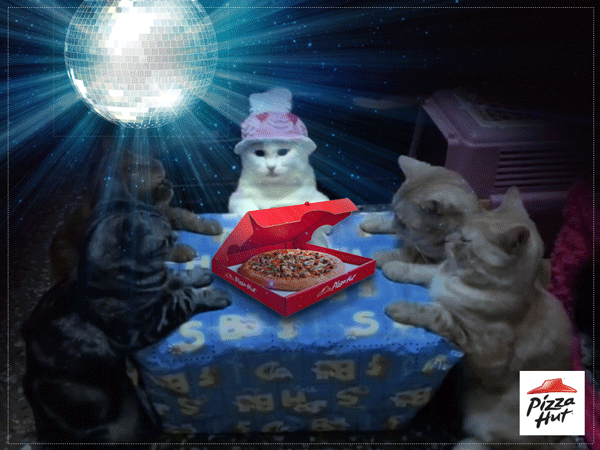 0baf7057410547.59d4d42164b4b.gif