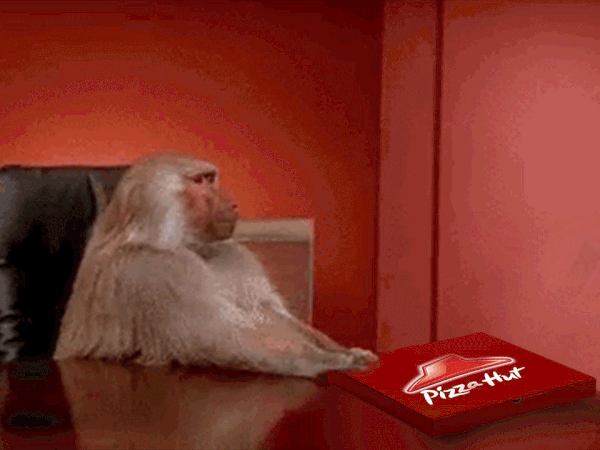 aa907057410547.59d4d421670cc.gif