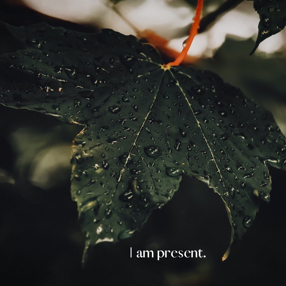 Embodied affirmation for the week: 
✨I am present. I notice the small details and beauty of life. ✨

*****
A strategy for embodying affirmations:

Be in connection with the part of you that needs to hear the affirmation. Notice where that part of you
