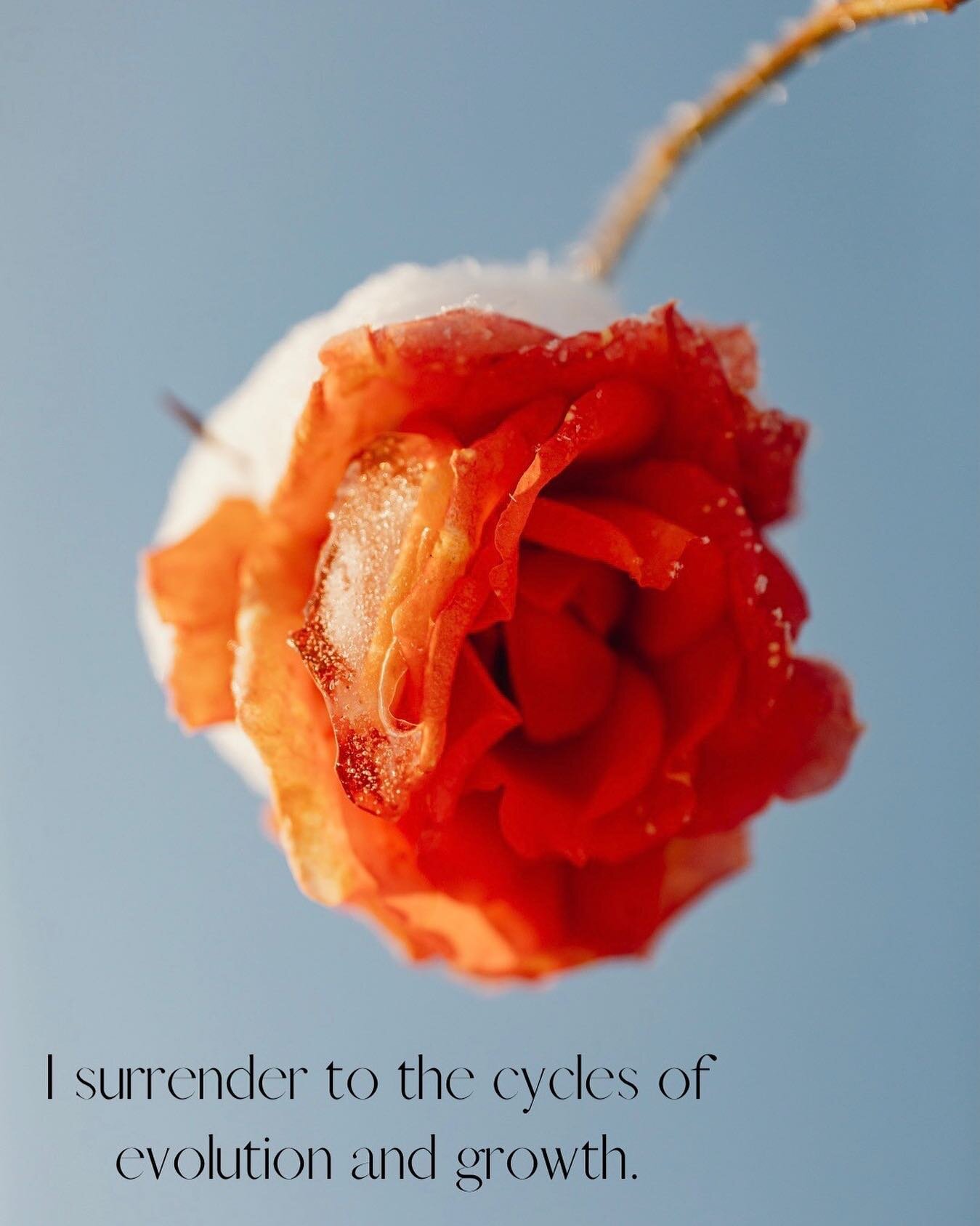 Embodied affirmation of the week: 

✨The natural rhythm of the universe leads us to break down before we build up. I&rsquo;m not doing it wrong. I surrender to the cycles of evolution and growth.✨

*****
A strategy for embodying affirmations:

Be in 