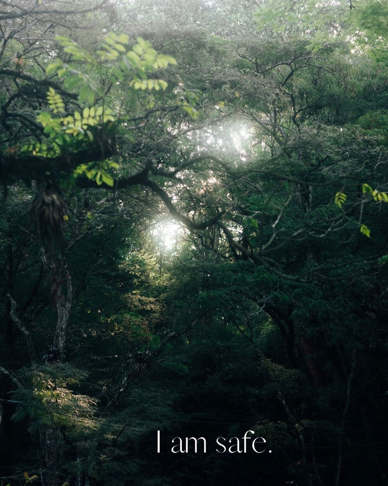 Embodied affirmation for the week: 
✨I am safe in my body. I am safe now.✨

*****
A strategy for embodying affirmations:

Be in connection with the part of you that needs to hear the affirmation. Notice where that part of you resides in your body. Pl