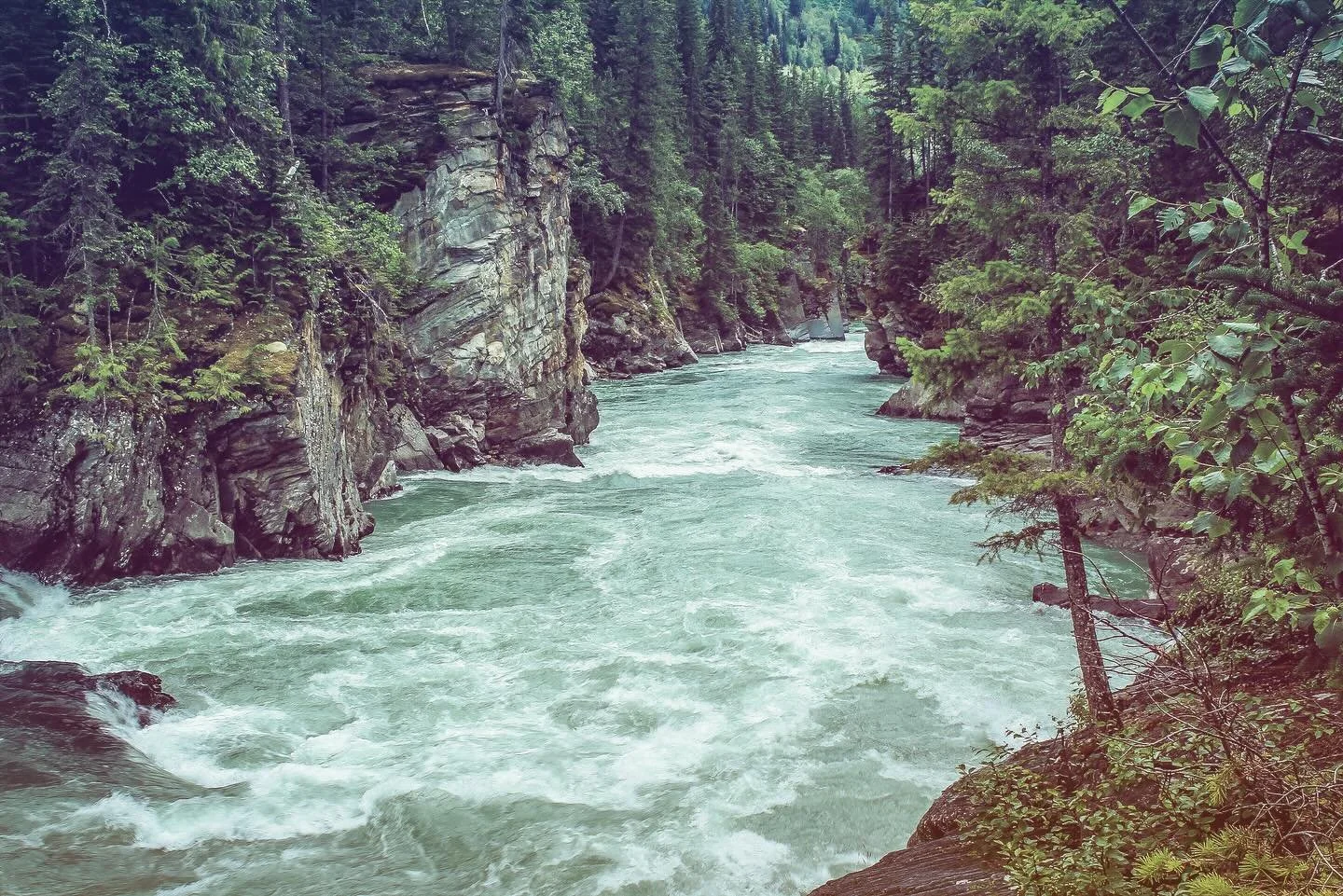 How are you holding up in these times?

Loves, I want you to remember:

We are not the resistance.
We are the river of life, the flow of love, of justice, freedom and equality.

There is a force that seeks to stop us&mdash; they keep building dams. T