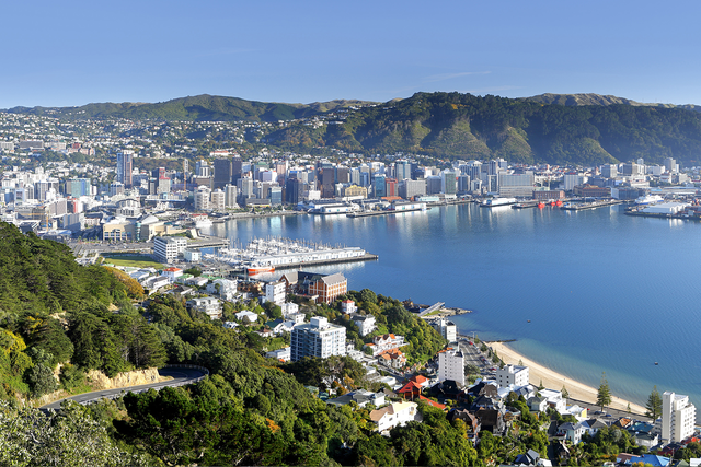 Made in Wellington