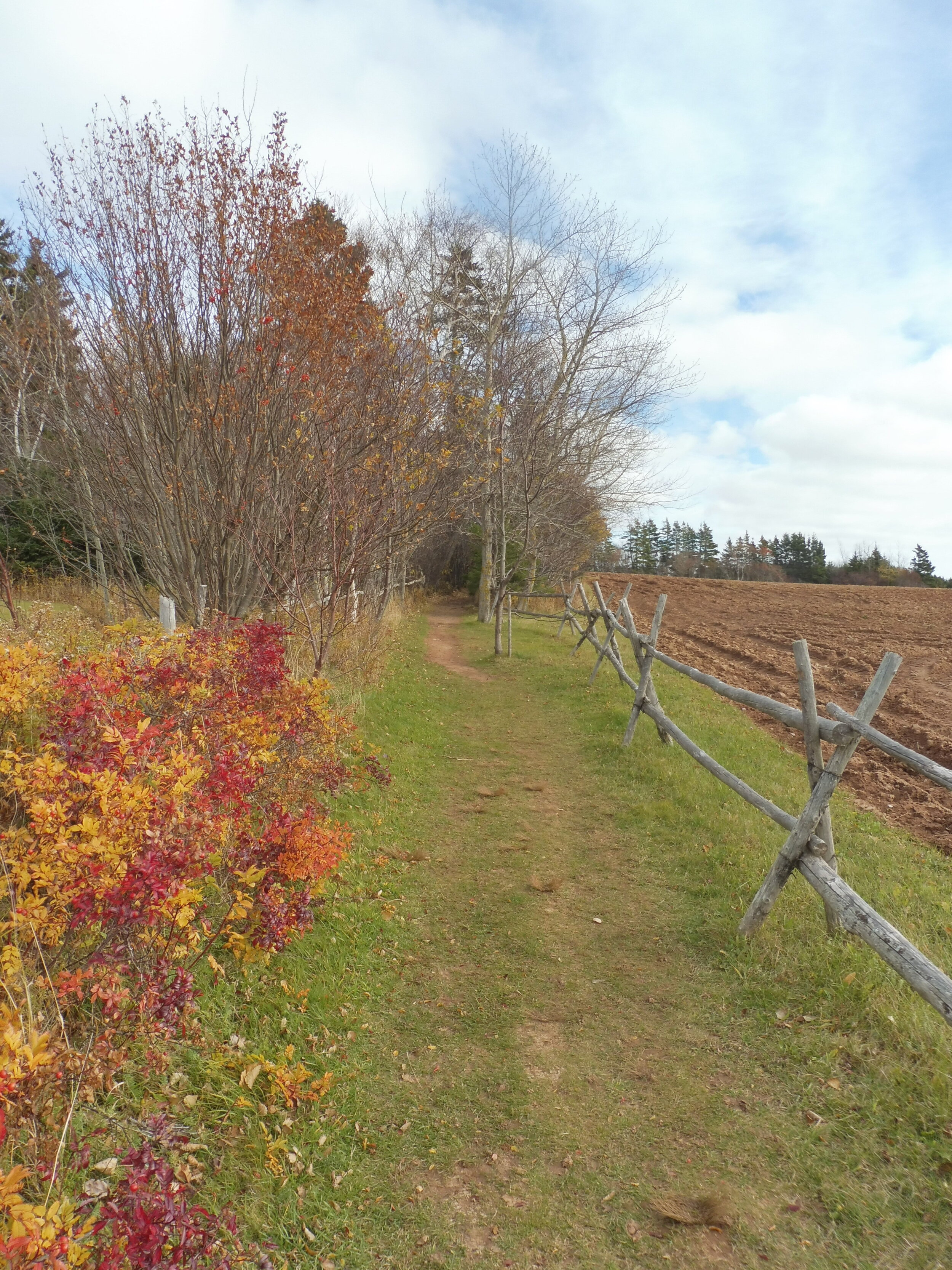 Path to Macneill hometead.jpg