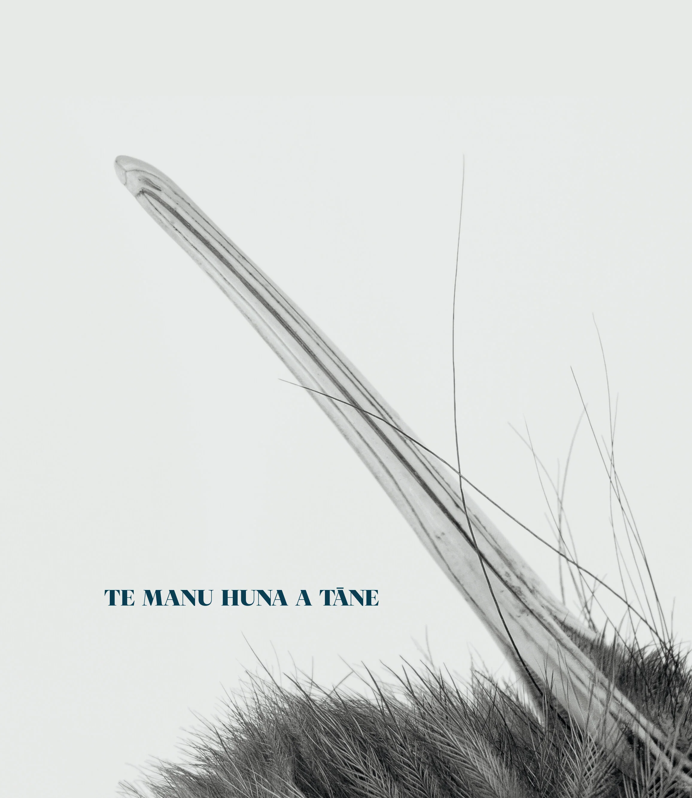Te Manu Huna a Tāne: Weaving Kiwi