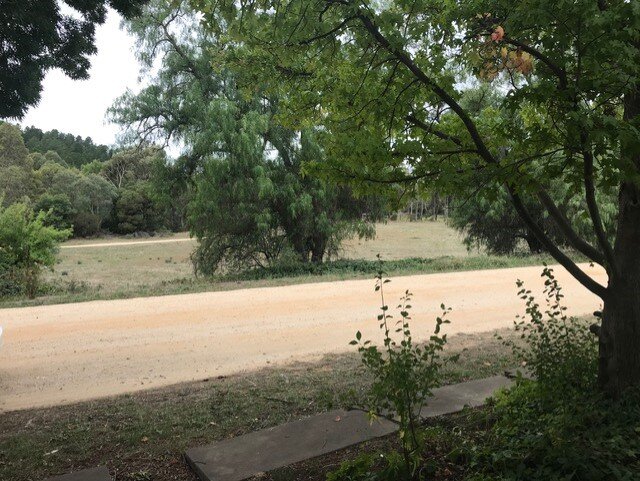 The national park outside Michalia’s fire-prone house.