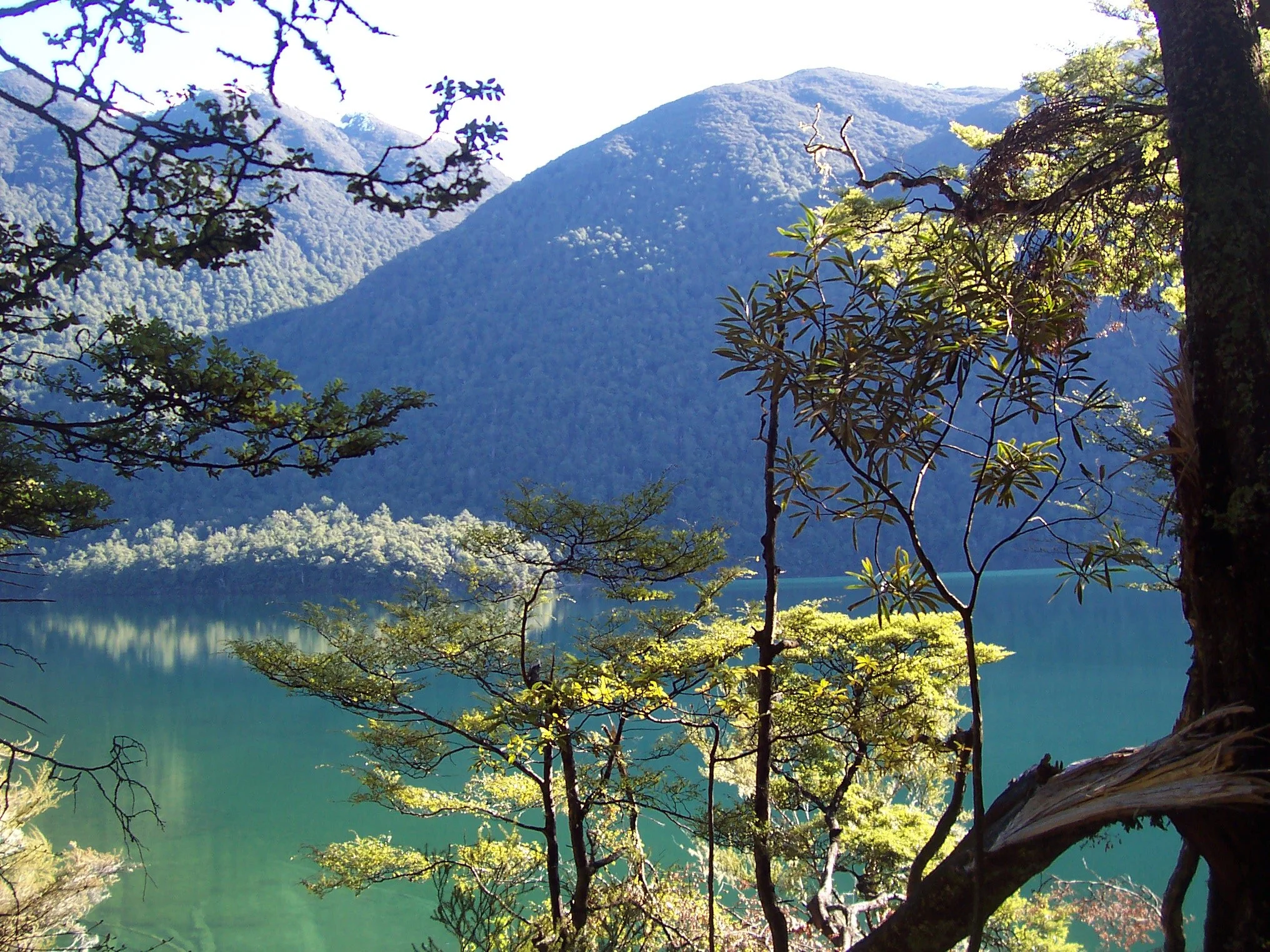 New Zealand (26).JPG