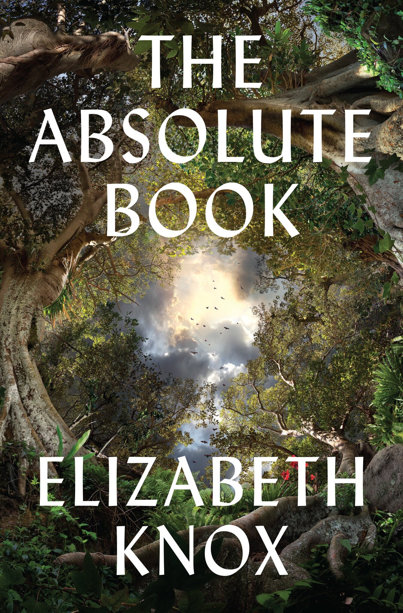 The_Absolute_Book__70471.1558649566 - elizabeth knox.jpg