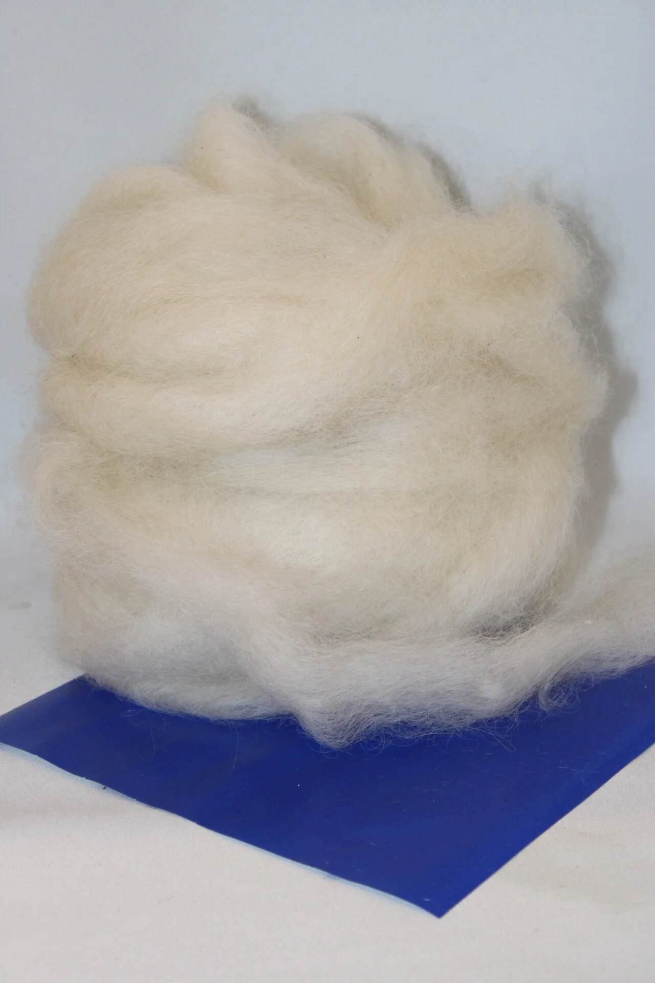 Roving - Cotswold Lamb