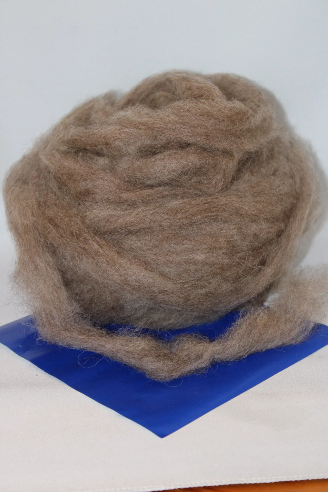 Roving - Tuft  a year older and lighter in color