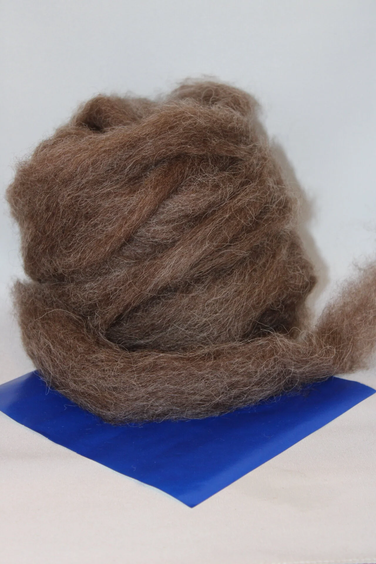 Roving - Tuft from a Spring shearing