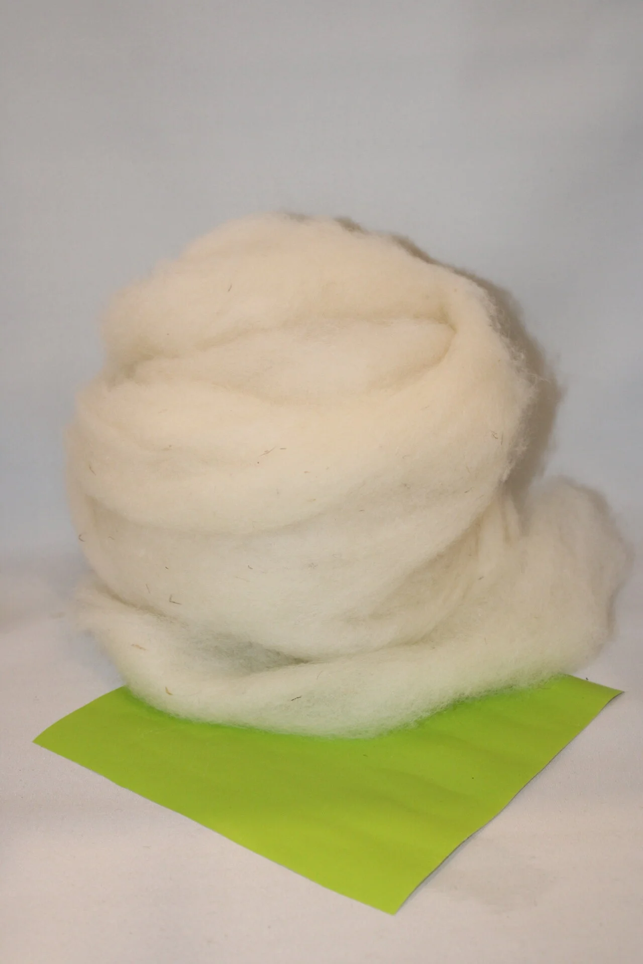 Little Joe - shetland/cotswold cross