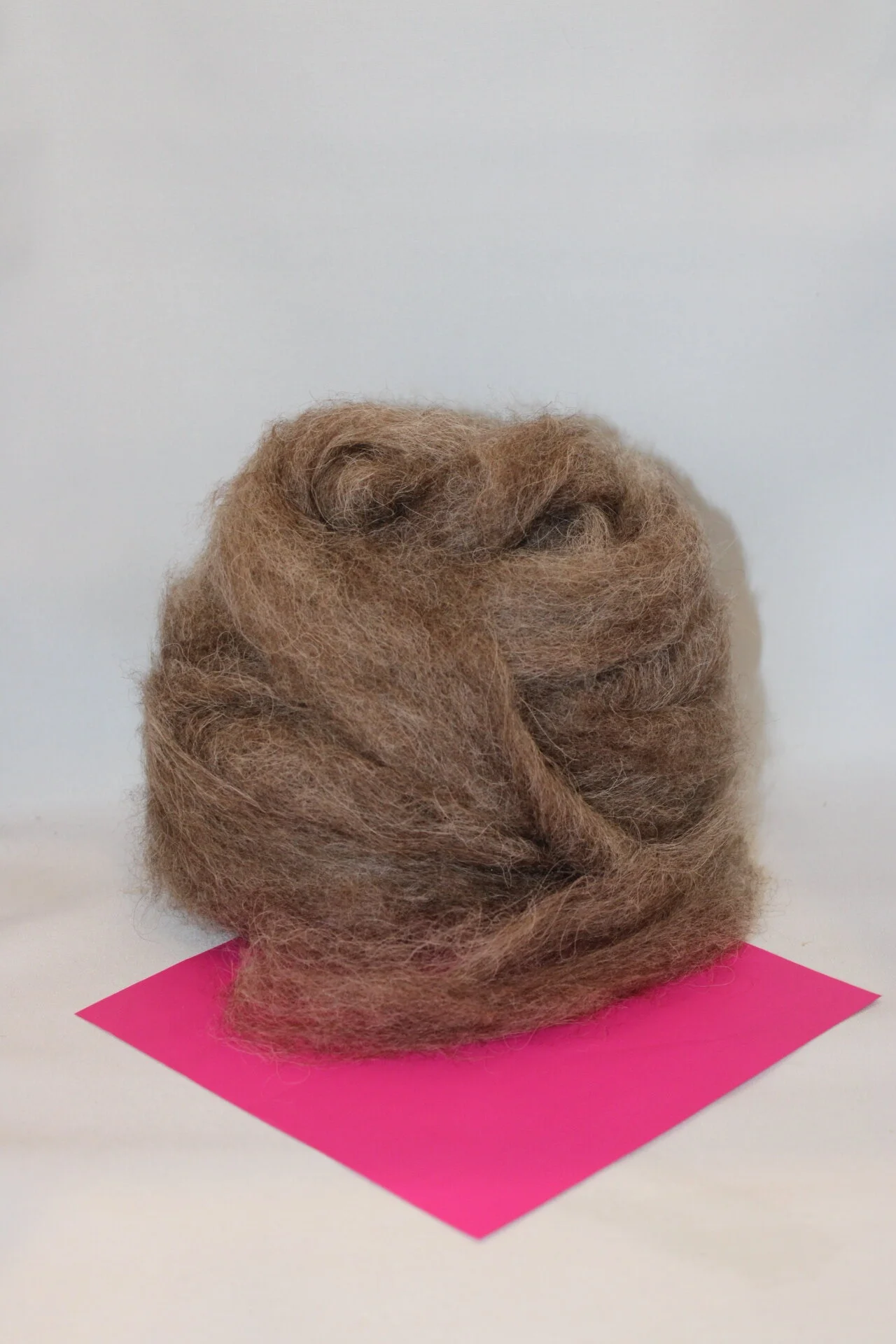 Roving - Mystery Ewe