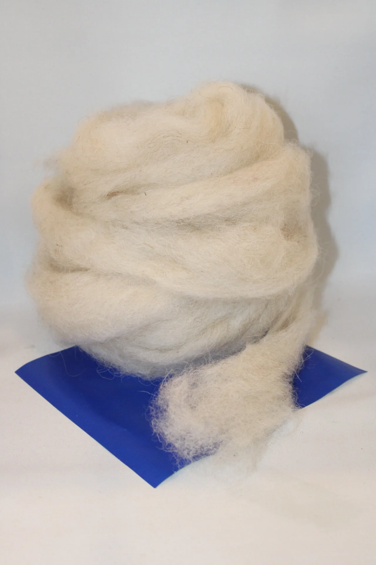 Roving - Shetland 'Dorothy' fall shearing