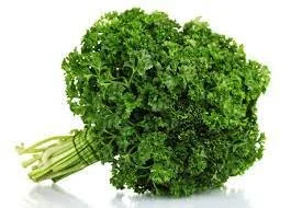 Curly Parsley