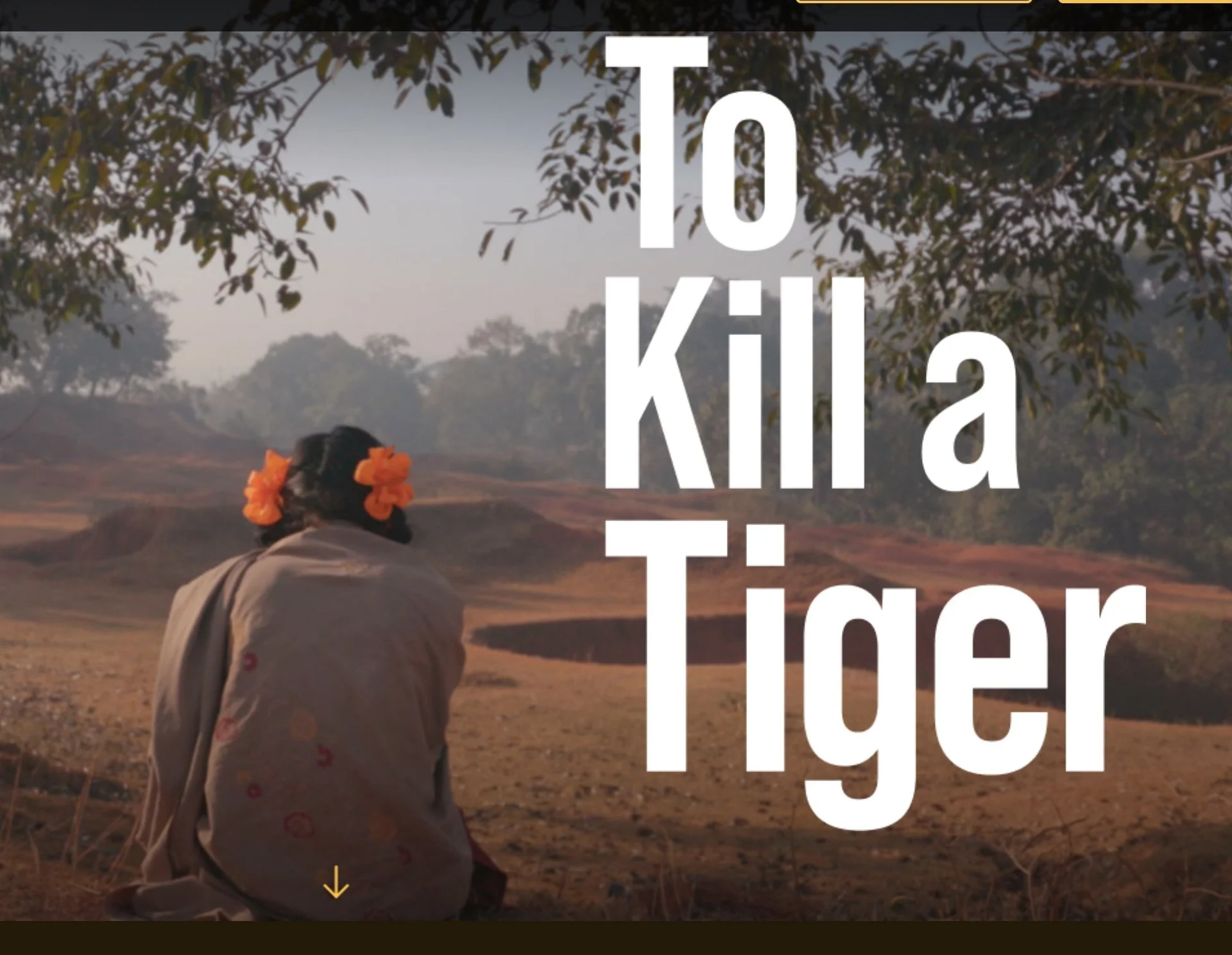 Respondent, "To Kill a Tiger," a film on sexual assault in India, by Nisha Pahuja, Loyola Marymount University