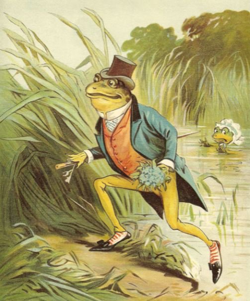 Kitchee Kitchee Ki-Me-O