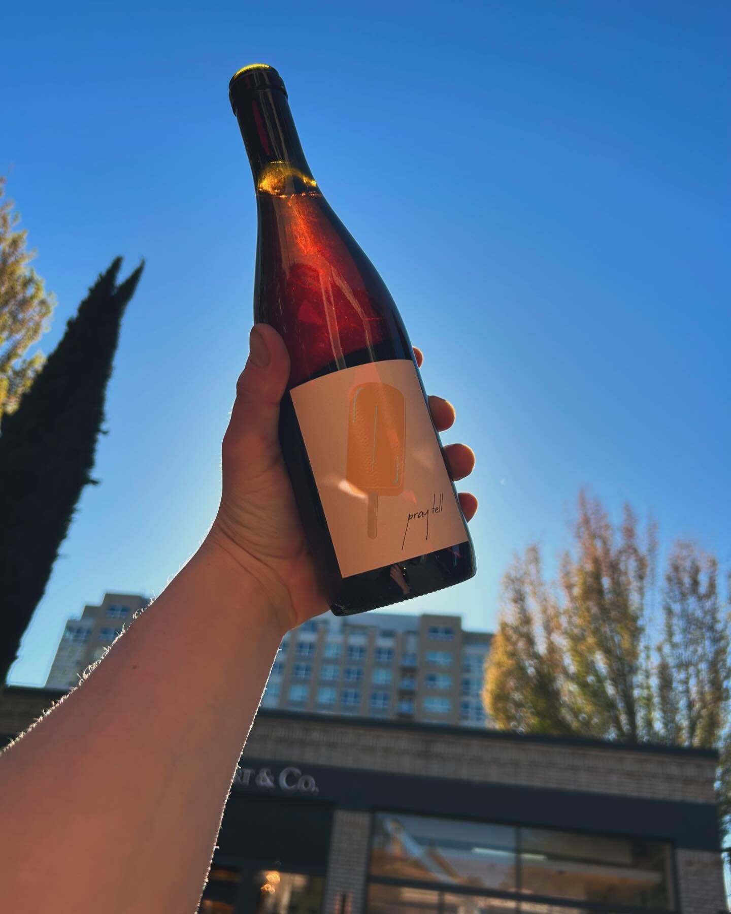 it might be cloudy today, but that isn&rsquo;t stopping new springtime releases from hitting the shelves. this week, we&rsquo;re loving the orange popsicle from @praytellwines. skin-contact pinot gris meanders down a lazy river of macerated chardonna