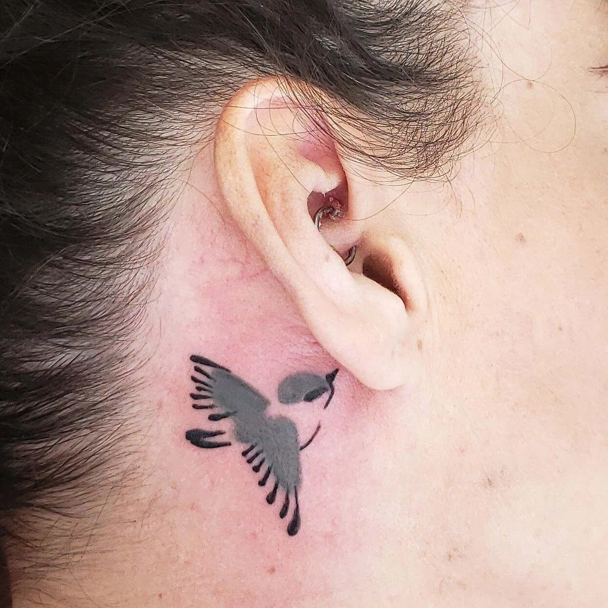 Small bird tattoo behind person's ear