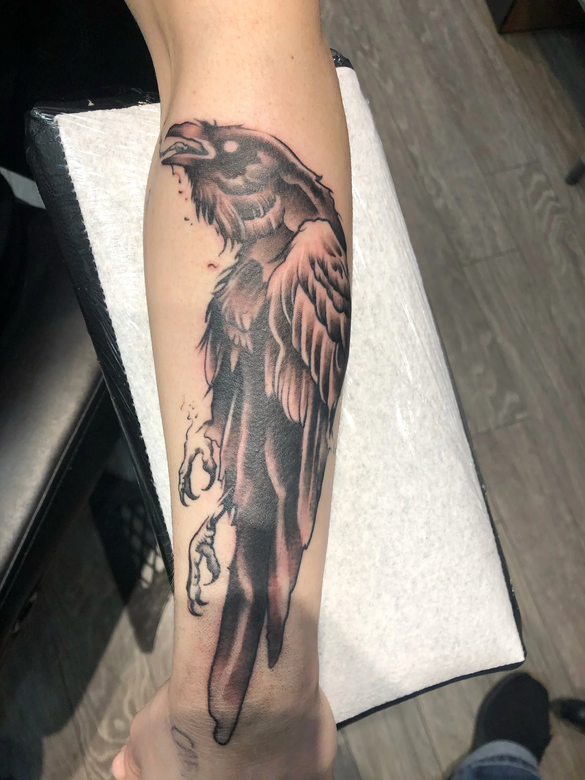 Forearm tattoo of a black raven with extended wings and detailed shading.