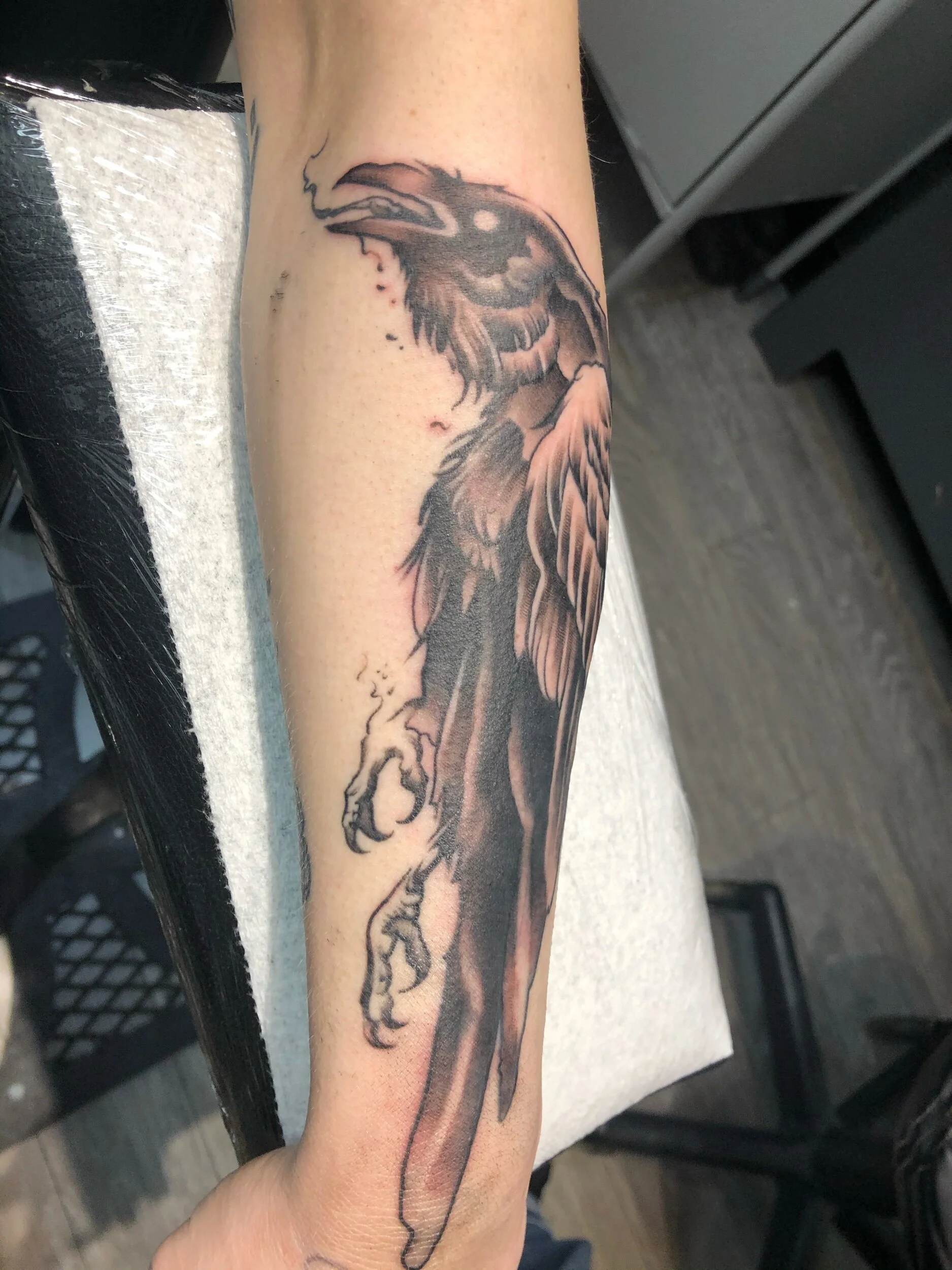 Raven tattoo on a person's forearm, featuring detailed shading and line work.