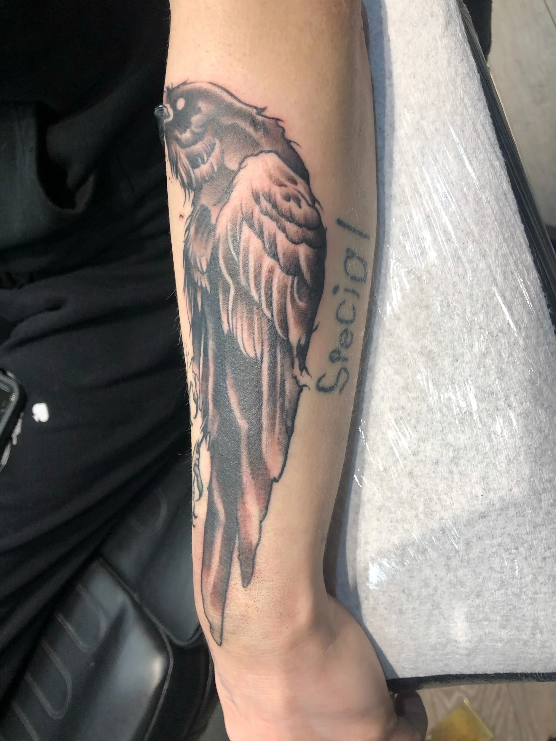 Forearm tattoo of a detailed bird and the word "Special."