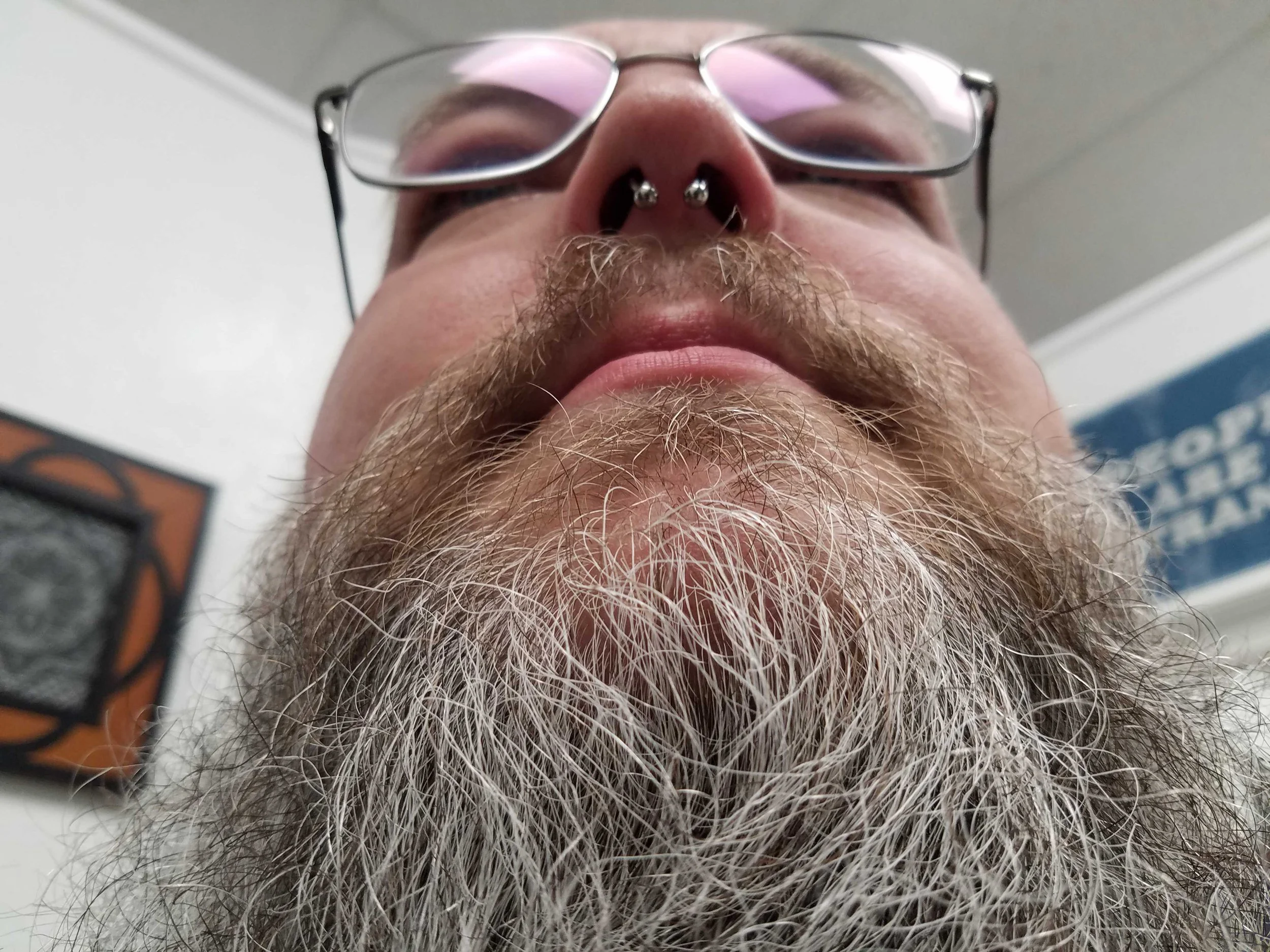 Close-up view of a person with glasses wearing a nose ring and a long, gray beard.
