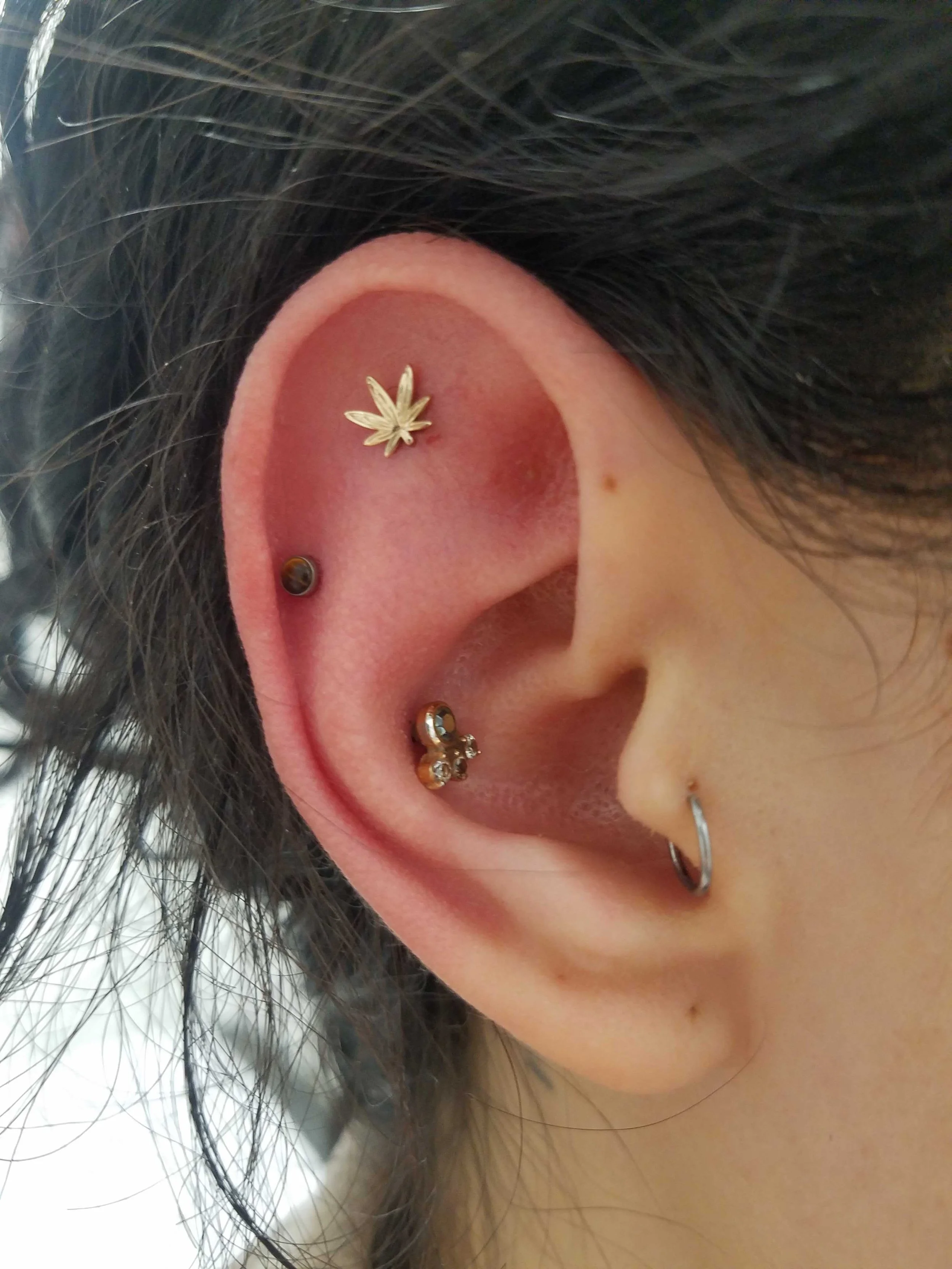 Ear with multiple piercings, featuring a marijuana leaf stud and other jewelry.