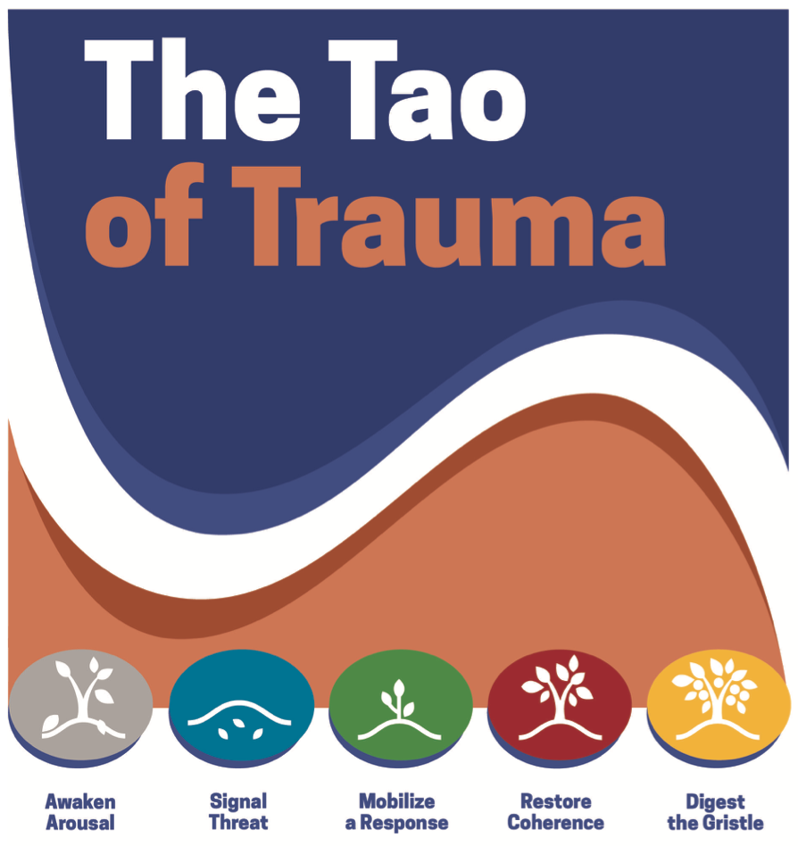 Tao of Trauma 2026-2027 NJ