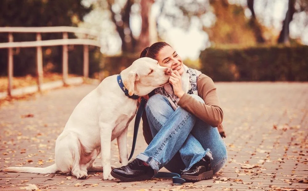 7 Date Ideas for You and Your Dog 💕