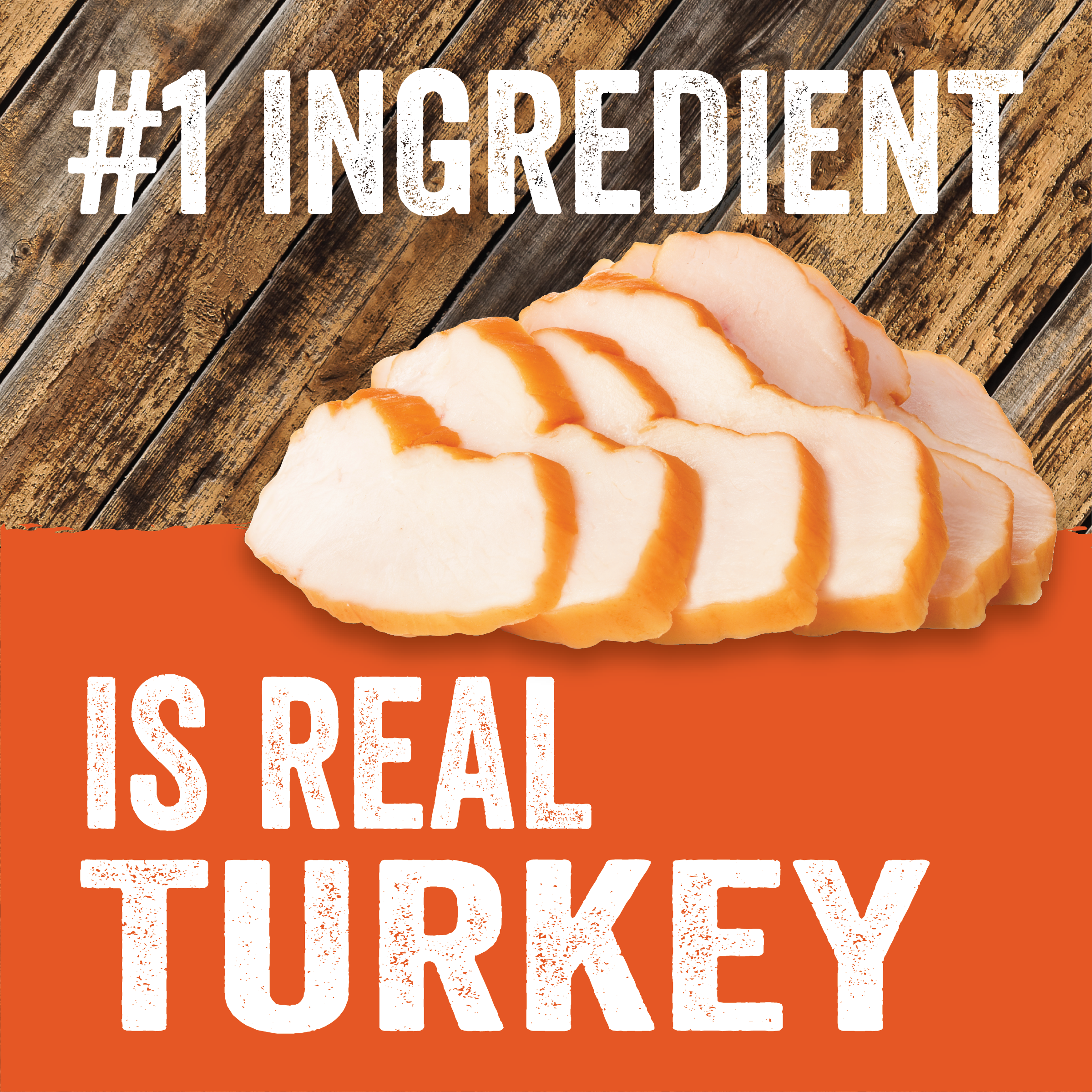 Evolve_Dog_Classic_Turkey_CannedFood_Layout-04.png