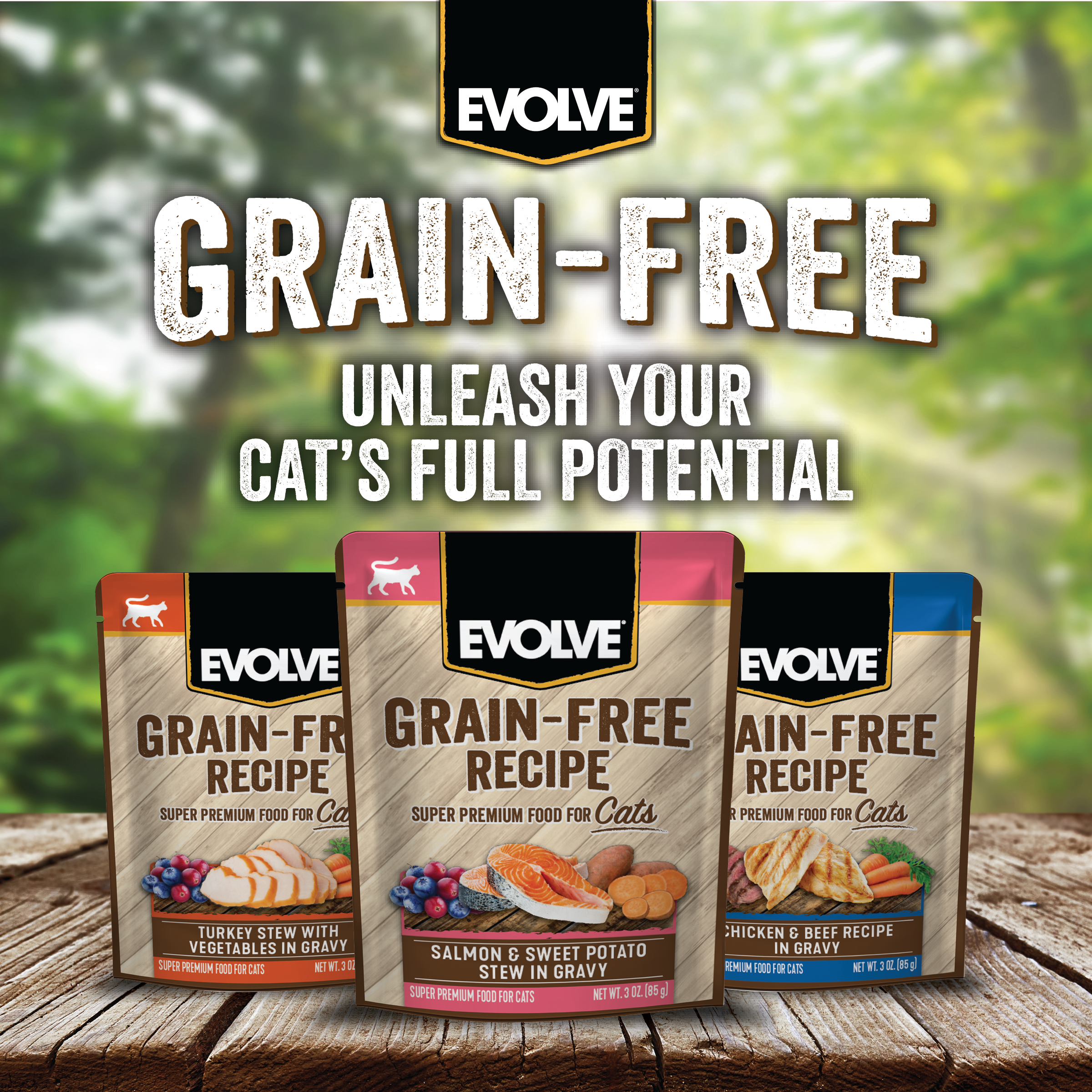 Evolve_Cat_GF_Salmon_WetFood_Pouch_Layout-05.png