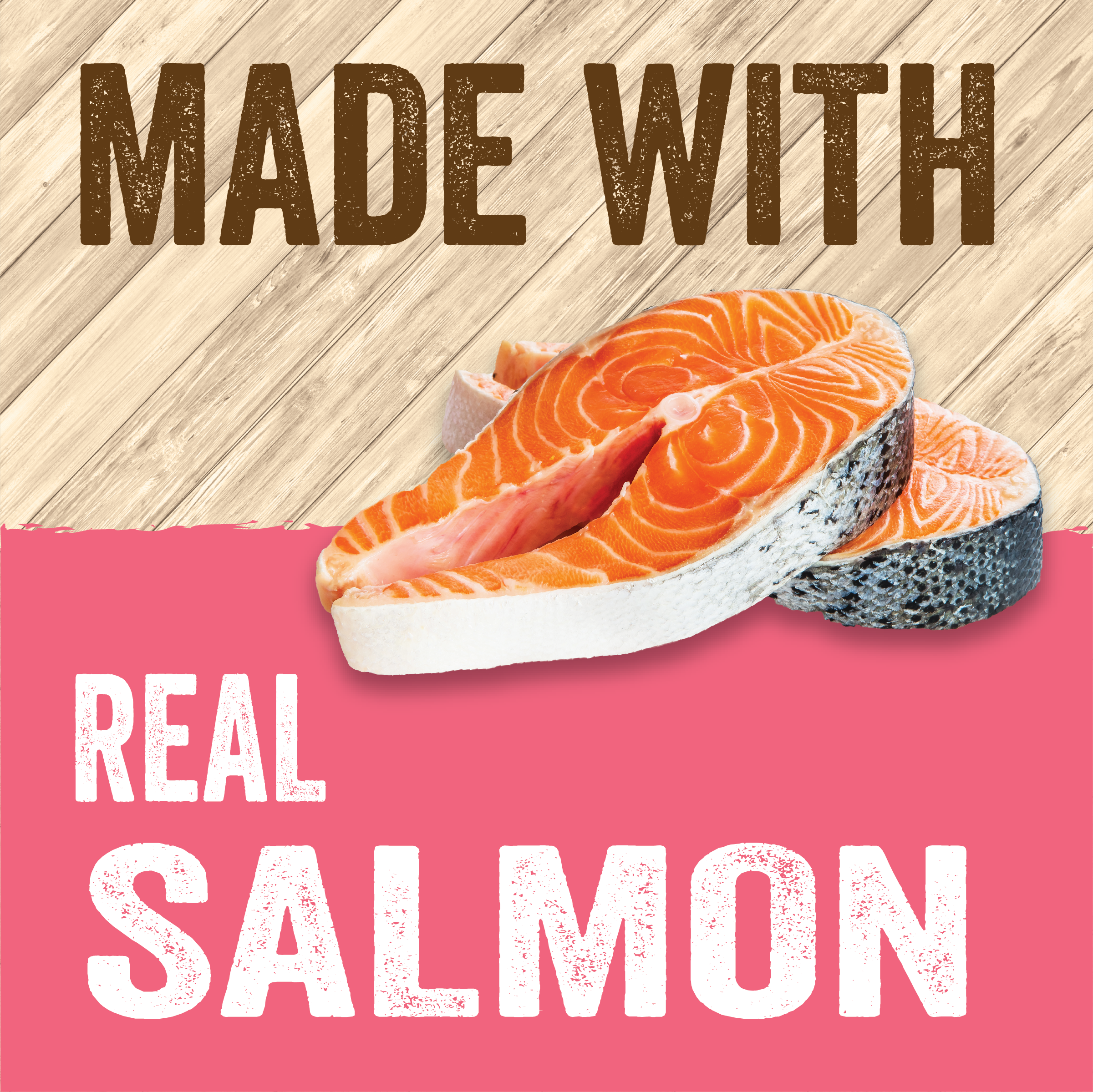 Evolve_Cat_GF_Salmon_WetFood_Pouch_Layout-03.png