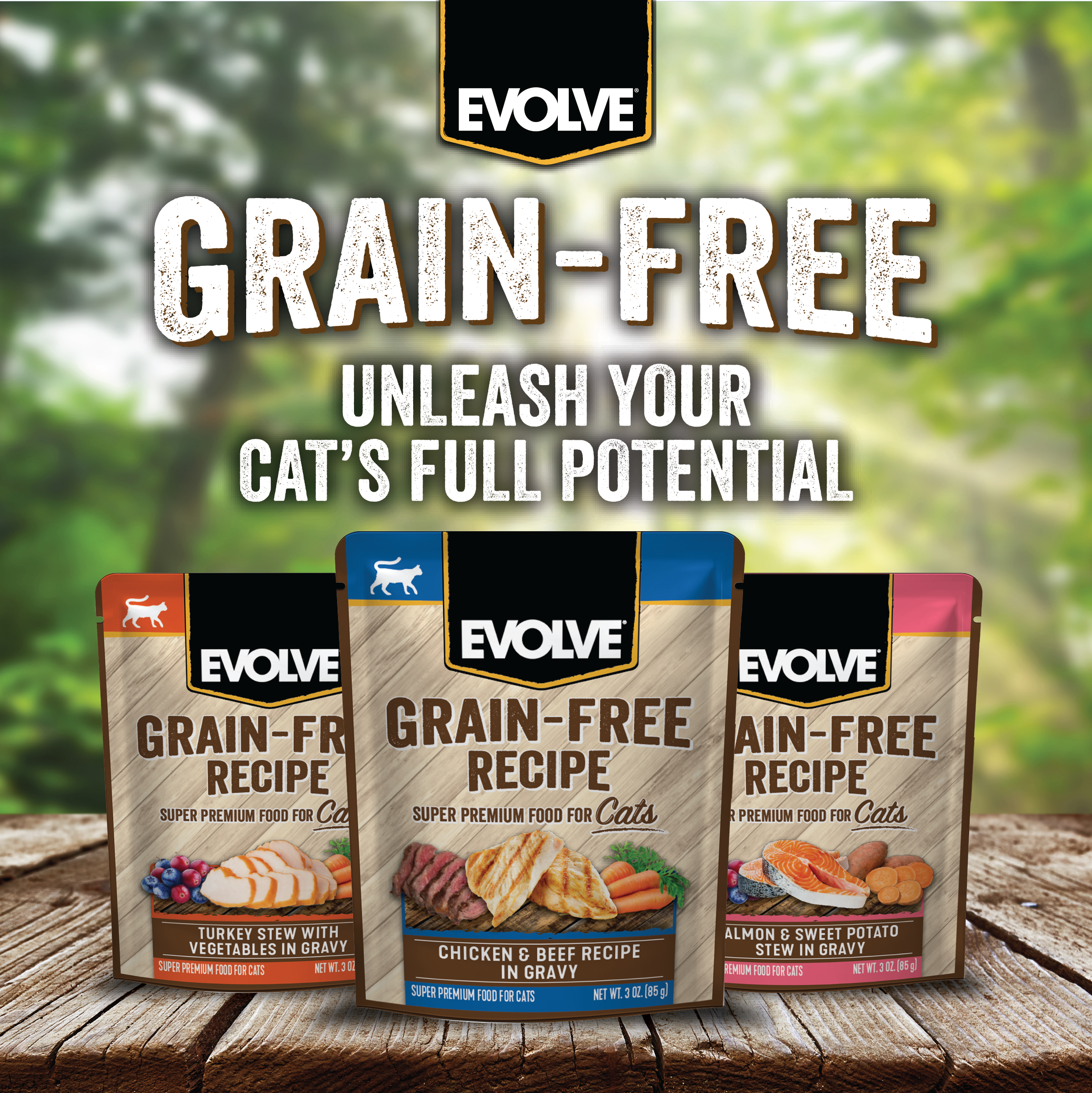 Evolve_Cat_GF_ChickenBeef_WetFood_Pouch_Layout-05.png