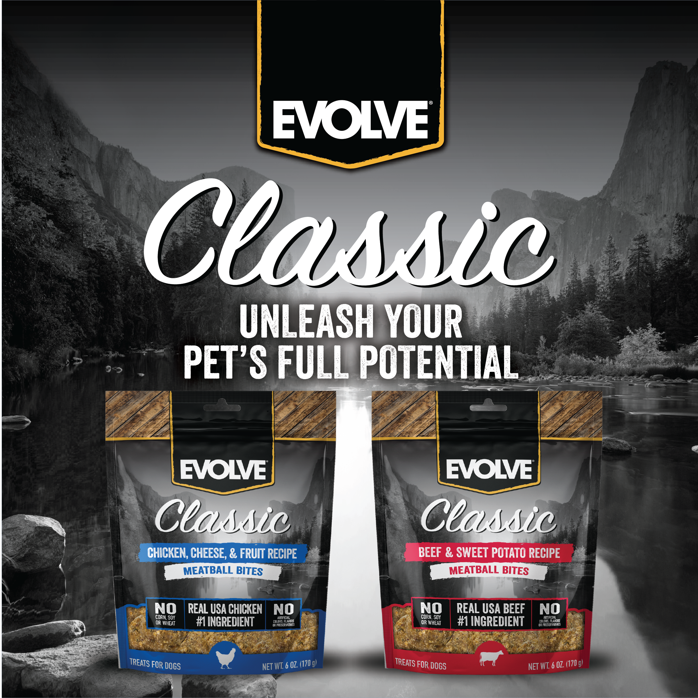 Evolve_Dog_Classic_Beef_Meatballs_Layout-06.png