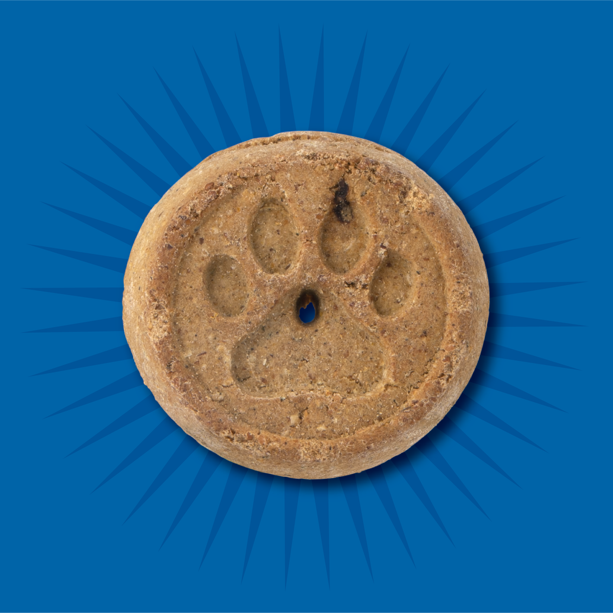 Evolve_Dog_GrainFree_Chicken_Biscuits_Layout-05.png