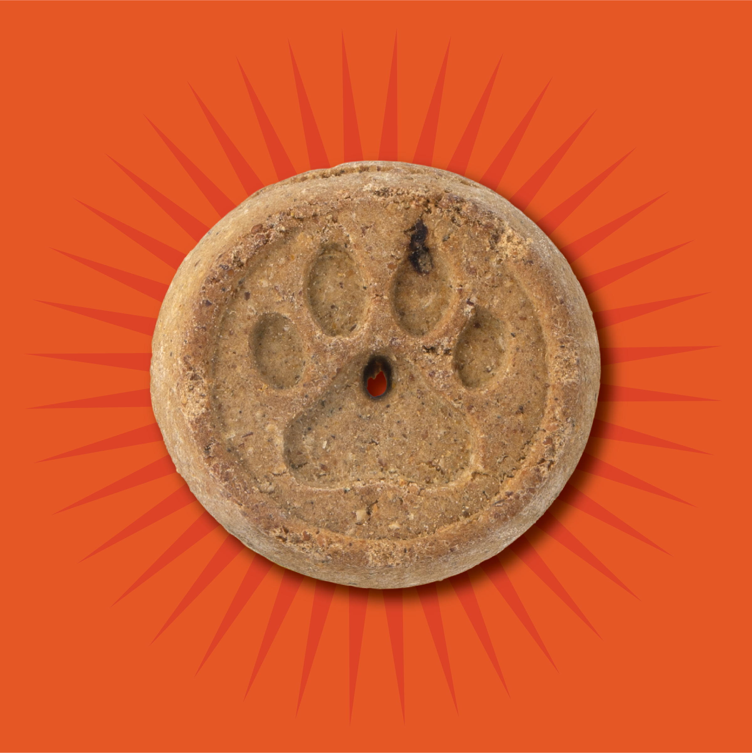 Evolve_Dog_GrainFree_Turkey_Biscuits_Layout-05.png