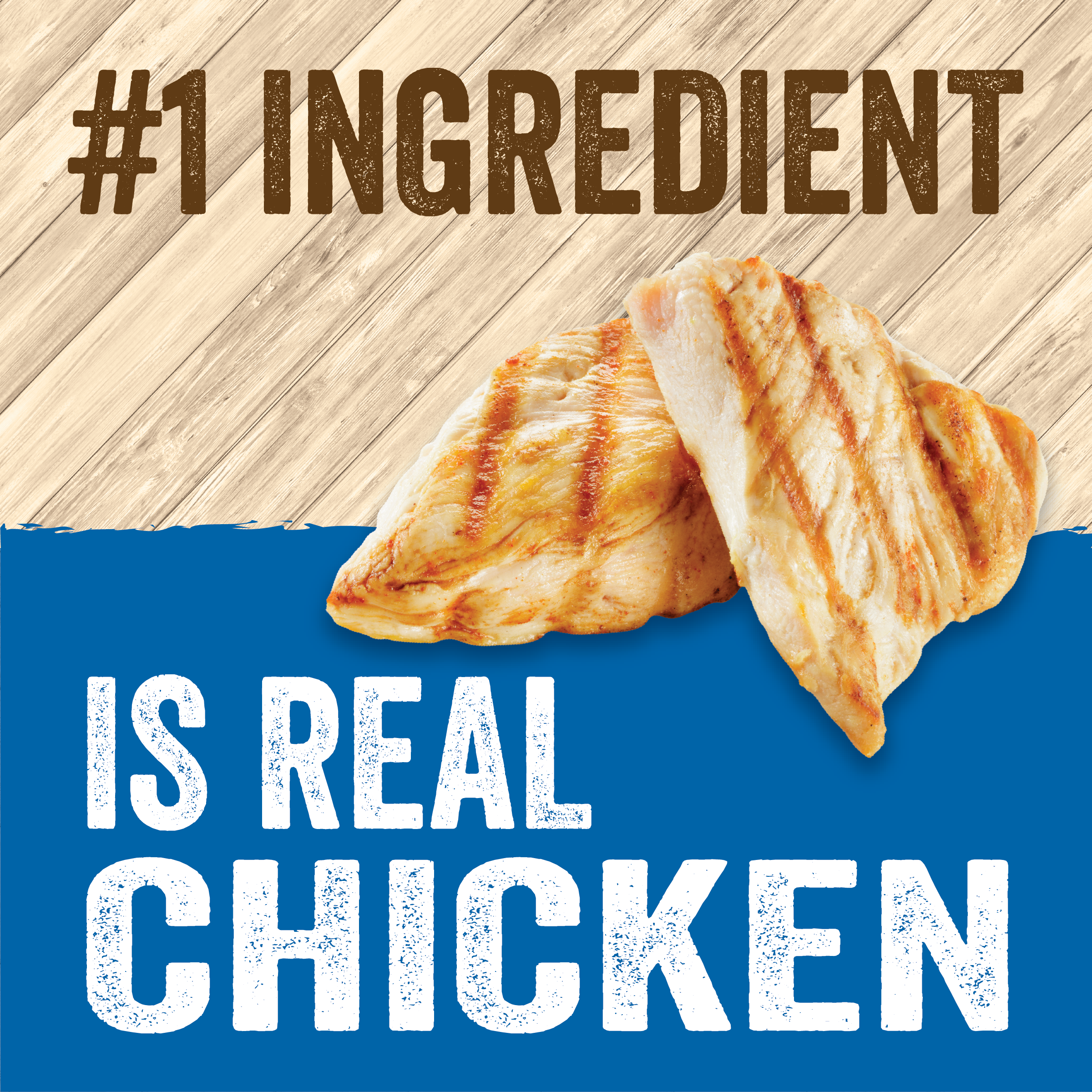 Evolve_Cat_Classic_Chicken_CannedFood_Layout-04.png