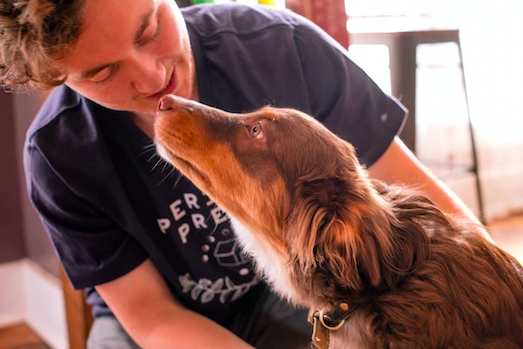 10 Signs You're a Dog Owner