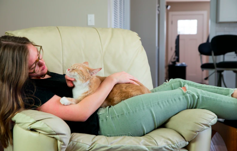 10 Signs You're A Cat Owner