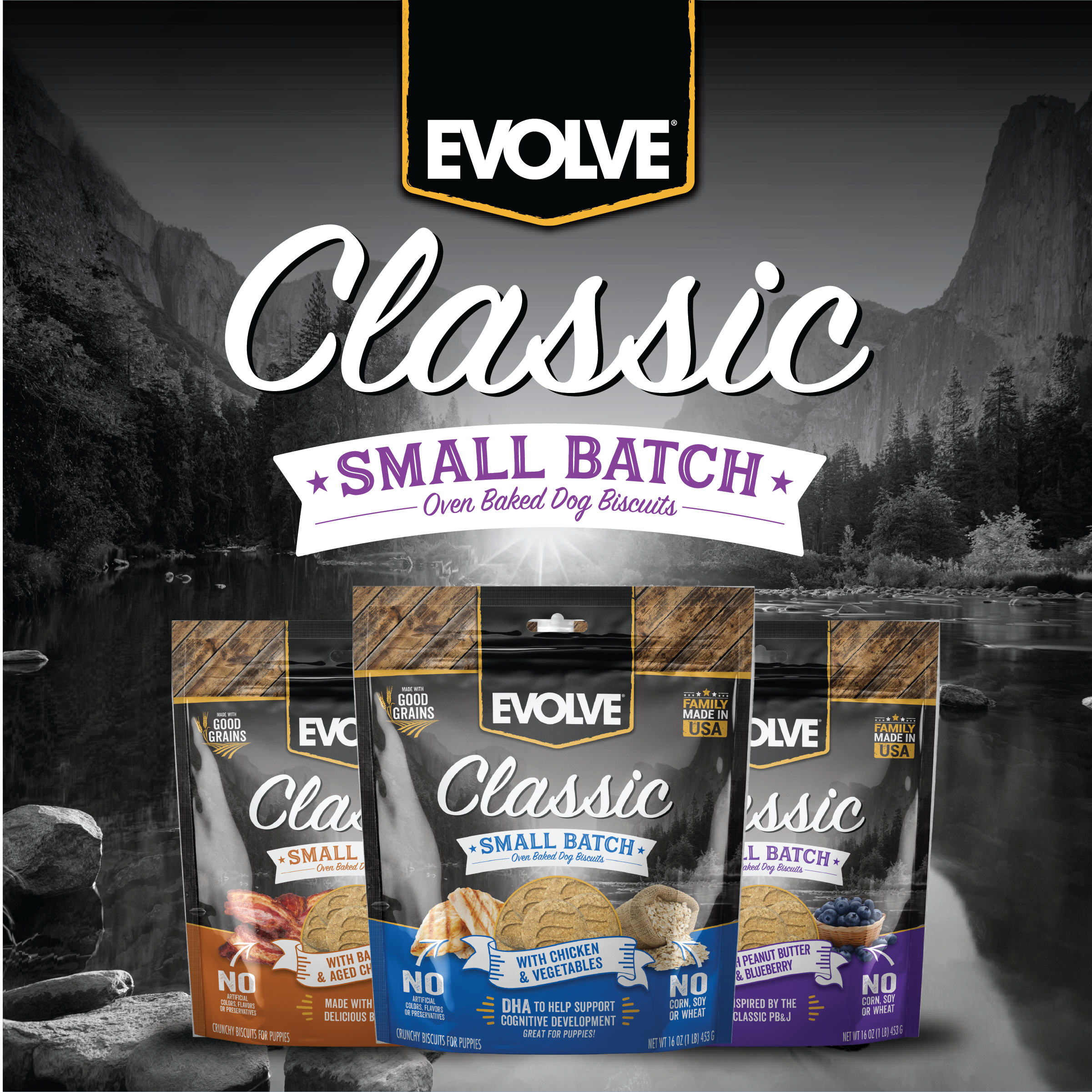 Evolve_Dog_Classic_SmallBatch_PeanutButter&Berry_16oz-06.png